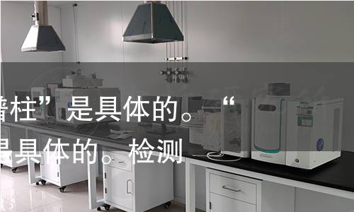 “C18反相色谱柱”是具体的。“液相色谱柱”是具体的。检测