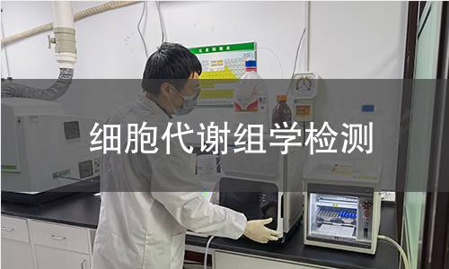 细胞代谢组学检测