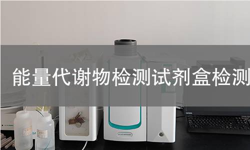 能量代谢物检测试剂盒检测