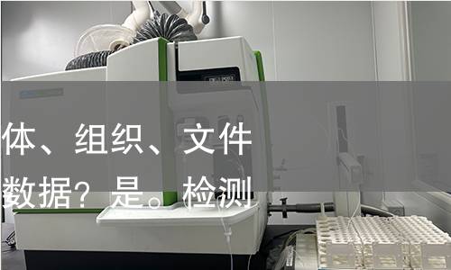 无书籍、社会实体、组织、文件、活动、报告、数据？是。检测
