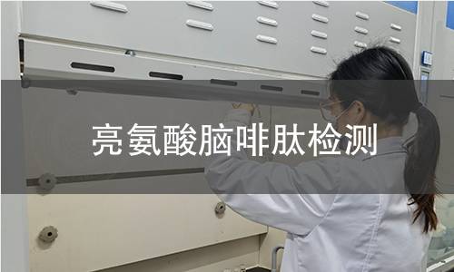 亮氨酸脑啡肽检测