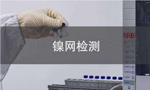 镍网检测