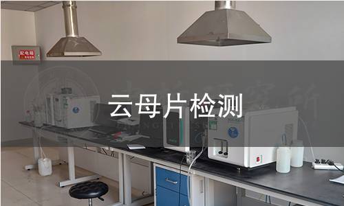 云母片检测