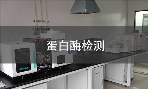 蛋白酶检测