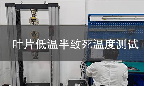 叶片低温半致死温度测试