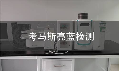 考马斯亮蓝检测