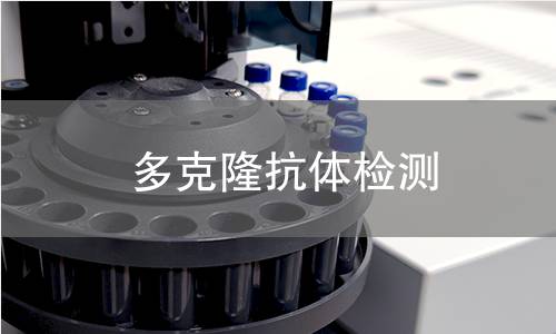 多克隆抗体检测