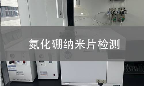 氮化硼纳米片检测