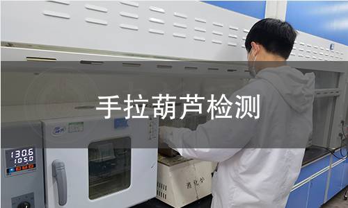 手拉葫芦检测