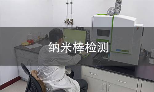 纳米棒检测