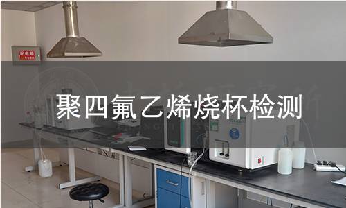 聚四氟乙烯烧杯检测