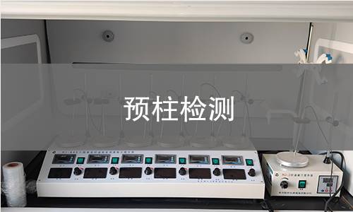 预柱检测