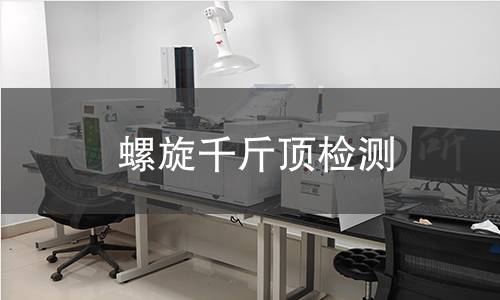 螺旋千斤顶检测