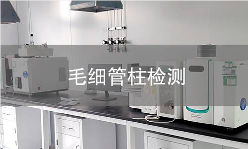 毛细管柱检测