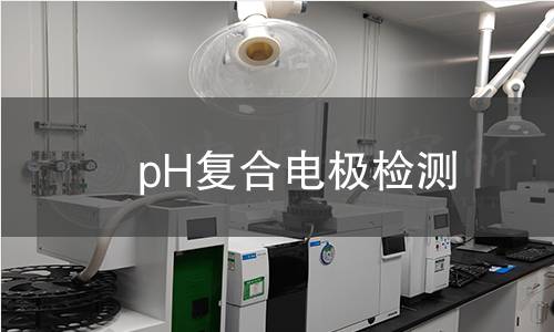 pH复合电极检测