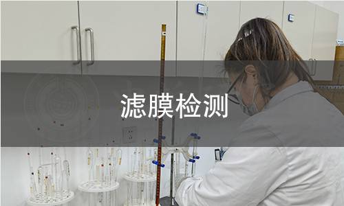 滤膜检测