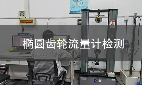 椭圆齿轮流量计检测