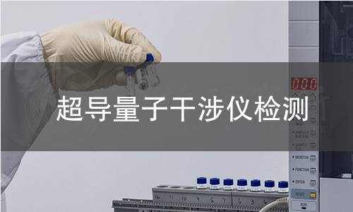 超导量子干涉仪检测