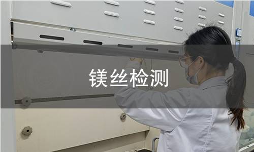 镁丝检测