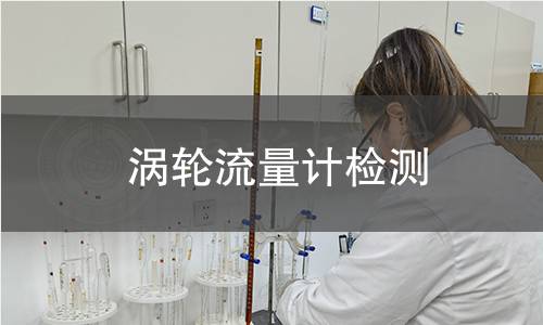 涡轮流量计检测