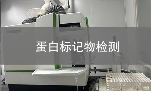 蛋白标记物检测