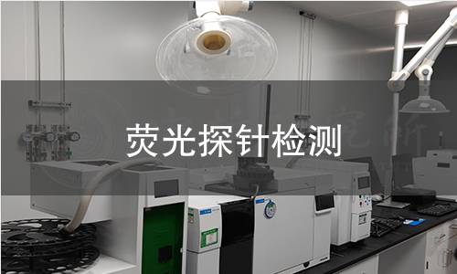 荧光探针检测