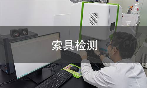 索具检测