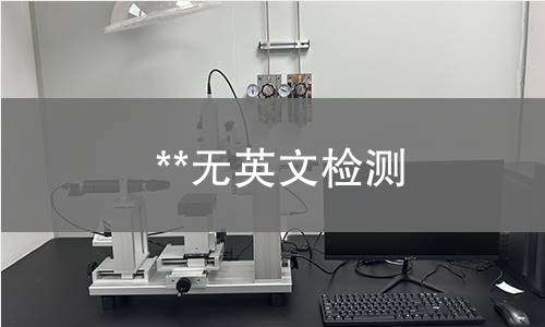 **无英文检测