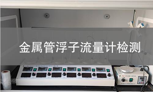 金属管浮子流量计检测