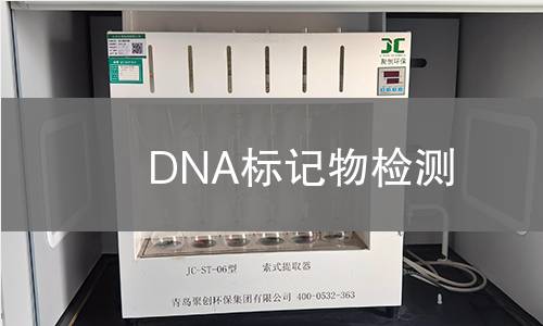 DNA标记物检测