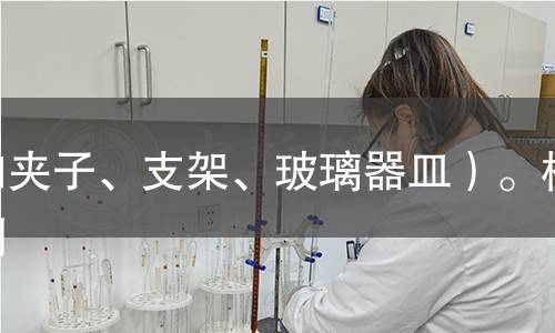 如夹子、支架、玻璃器皿）。检测