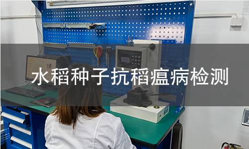 水稻种子抗稻瘟病检测