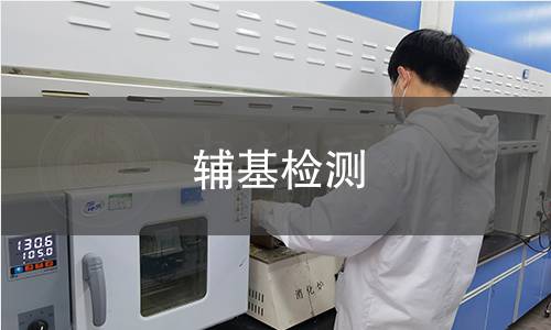 辅基检测