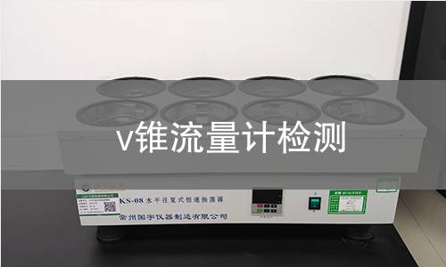 v锥流量计检测