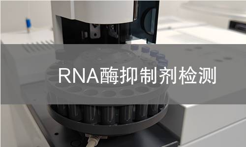 RNA酶抑制剂检测