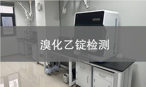溴化乙锭检测