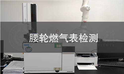 腰轮燃气表检测