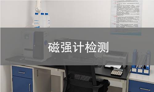 磁强计检测