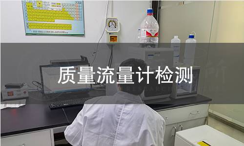 质量流量计检测