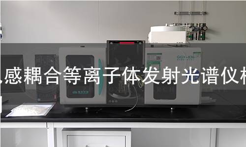 电感耦合等离子体发射光谱仪检测