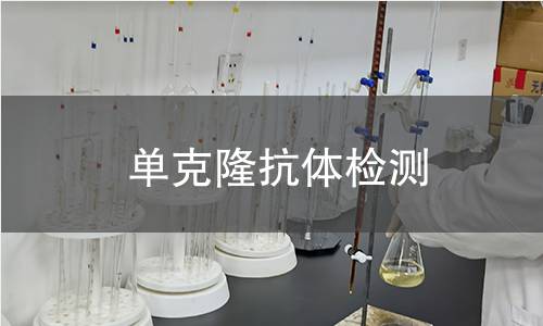 单克隆抗体检测