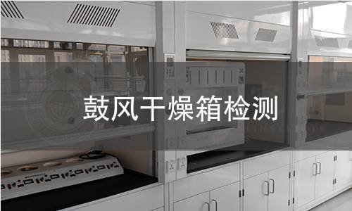 鼓风干燥箱检测