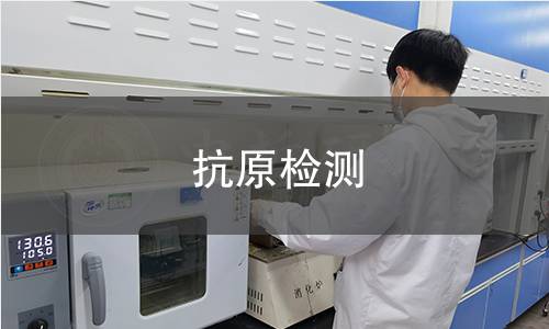 抗原检测