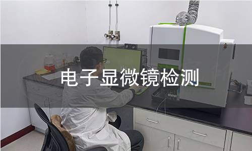 电子显微镜检测