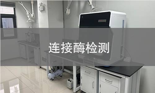 连接酶检测