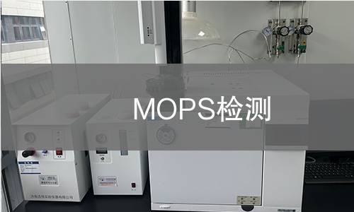 MOPS检测
